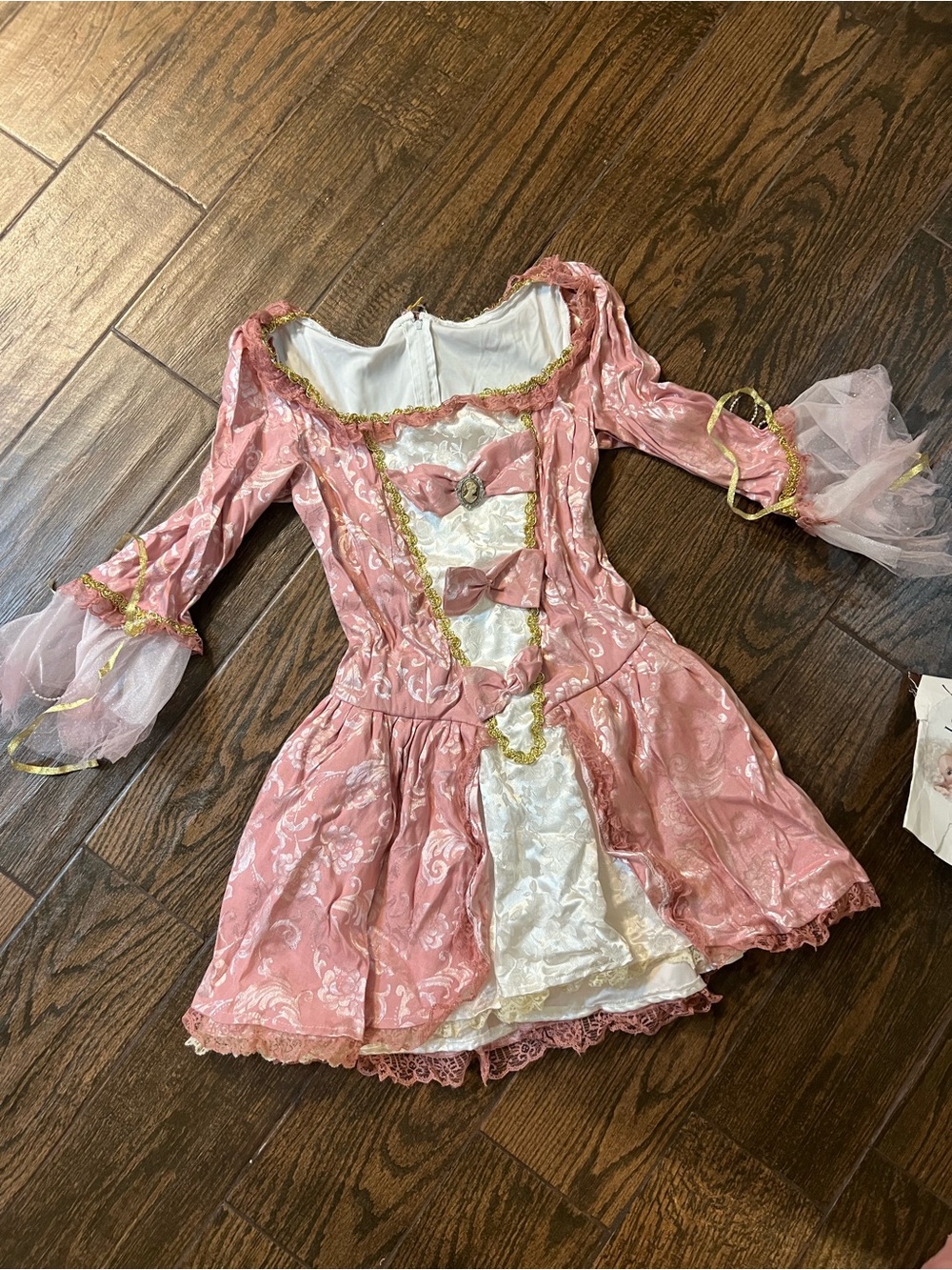 Halloween Costume -Courtier Marie Pink and White